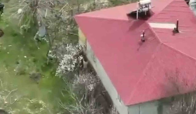 16 YIL KESİNLEŞMİŞ HAPİS CEZASI OLAN HÜKÜMLÜ YAKALANDI