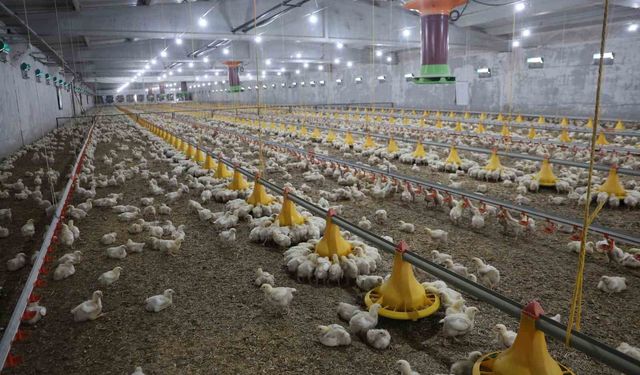 DEVLETTEN ALDIĞI DESTEKLE İKİNCİ ÇİFTLİĞİNİ AÇTI