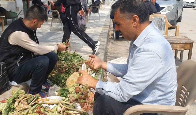 BAHAR OTLARI TEZGAHLARDA