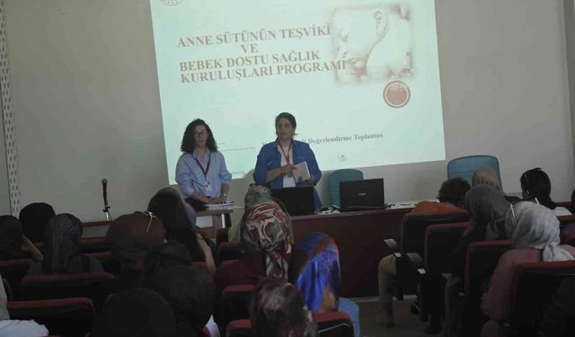 ANNE SÜTÜNÜN TEŞVİKİ PROGRAMI