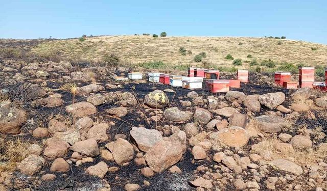 ARAZİ YANGININDA ARI KOVANLARI ZARAR GÖRDÜ