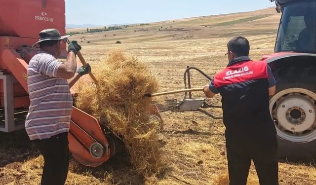MERCİMEK TOHUMLUKLARINDA HASAT KONTROLLERİ