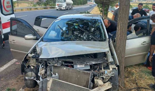 OTOMOBİL AĞACA ÇARPTI