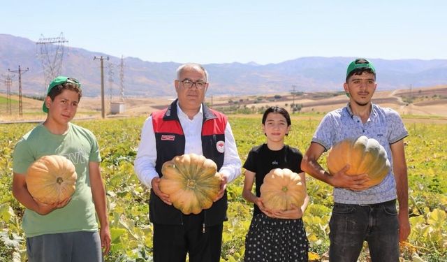 4 BİN TONUN ÜZERİNDE REKOLTE BEKLENİYOR