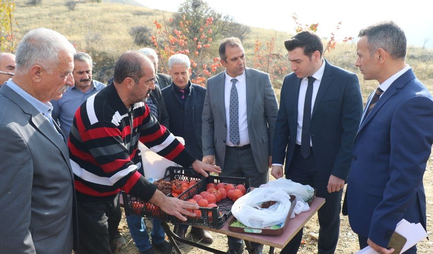 KEBAN’DA TRABZON HURMASI HASADI YAPILDI 