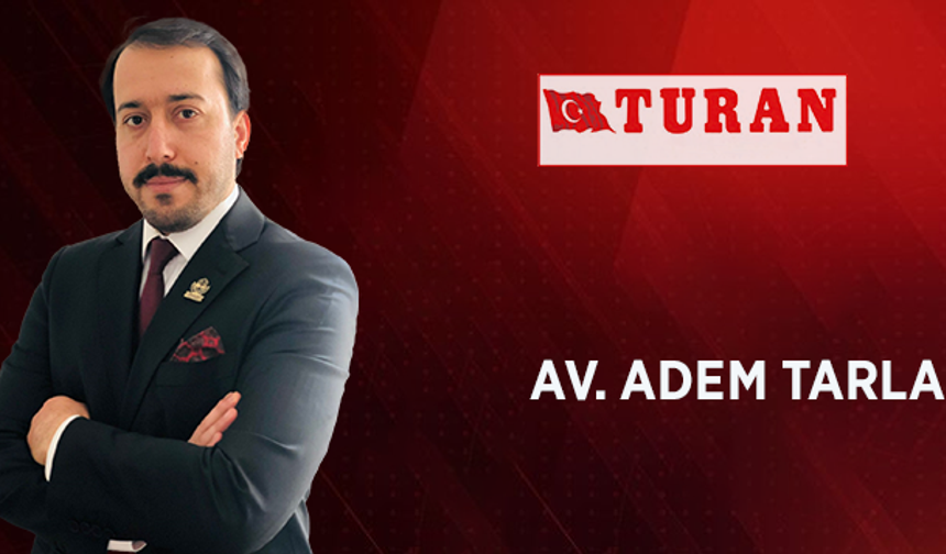 BASKİL KAYISISI KİMİN GÖLGESİNDE KALDI