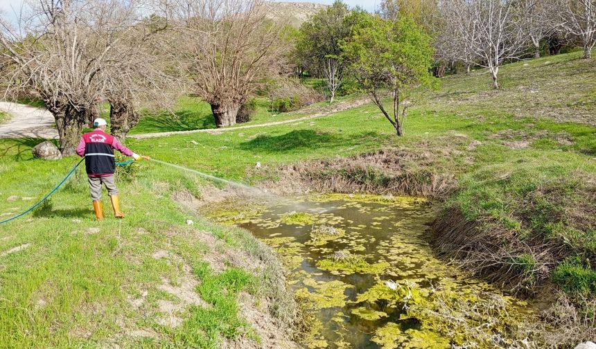 LARVA İLE MÜCADELE SÜRÜYOR