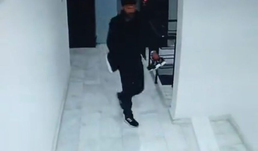HIRSIZLAR KAMERAYI TAKMIYOR