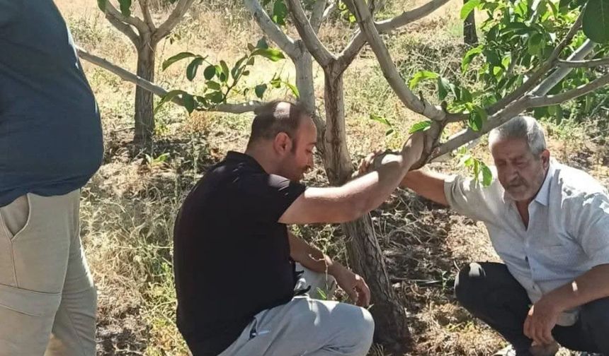 KOVANCILAR'DA ÇİFTÇİLER BİLGİLENDİRİLDİ