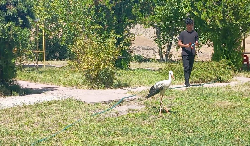 KANADI KIRILDI, KORUMA ALTINA ALINDI