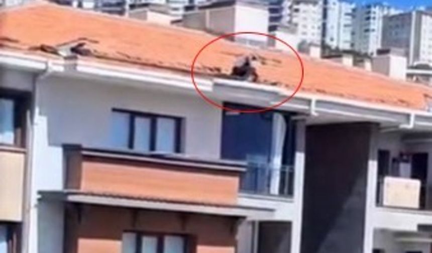 İŞ GÜVENLİĞİ SIFIR...