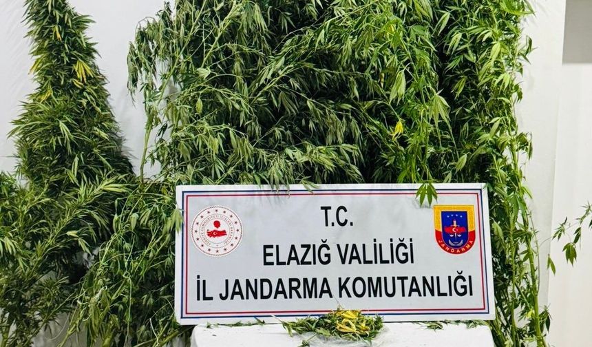 UYUŞTURUCU İLE MÜCADELE SON HIZ