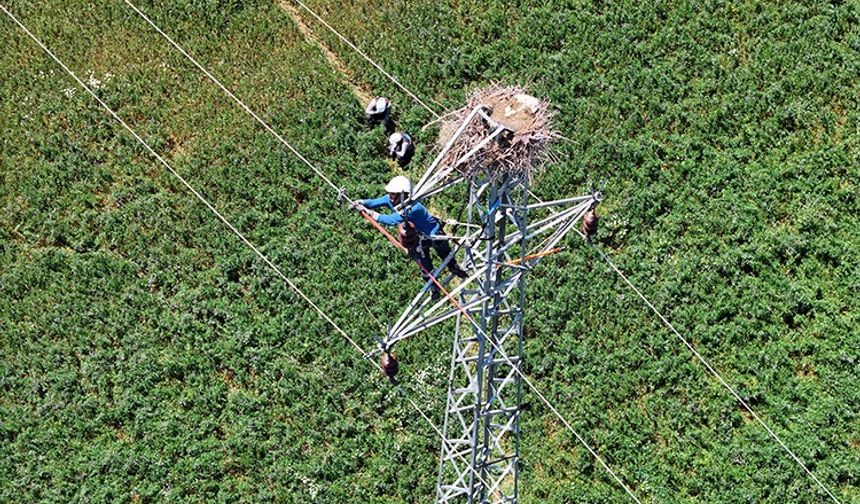 HEM LEYLEKLER HEM DE ENERJİ GÜVENDE
