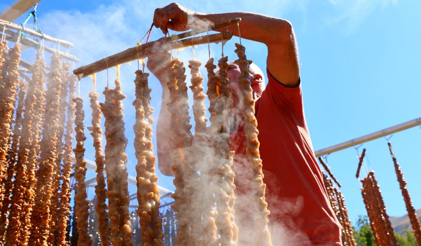 ORCİK MESAİSİ BAŞLADI