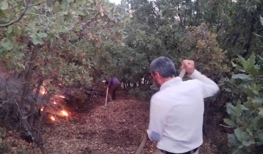 AĞAÇLIK ALANDA YANGIN
