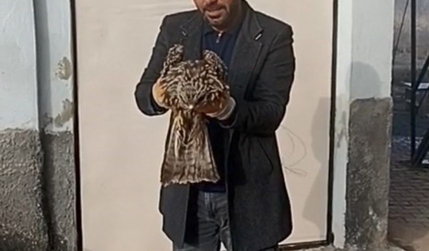 YARALI KARTAL KORUMA ALTINA ALINDI