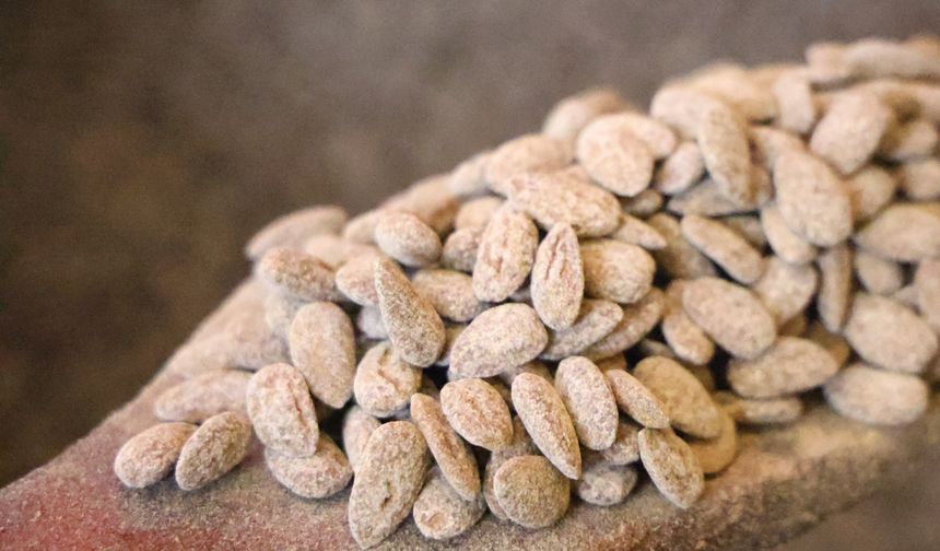 GELENEKTEN YENİLİĞE