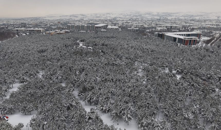 BETON YIĞINLARI ARASINDAKİ BEYAZ VAHA