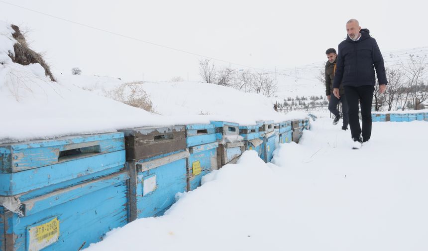 ARICILAR SEZONDAN ÜMİTLİ