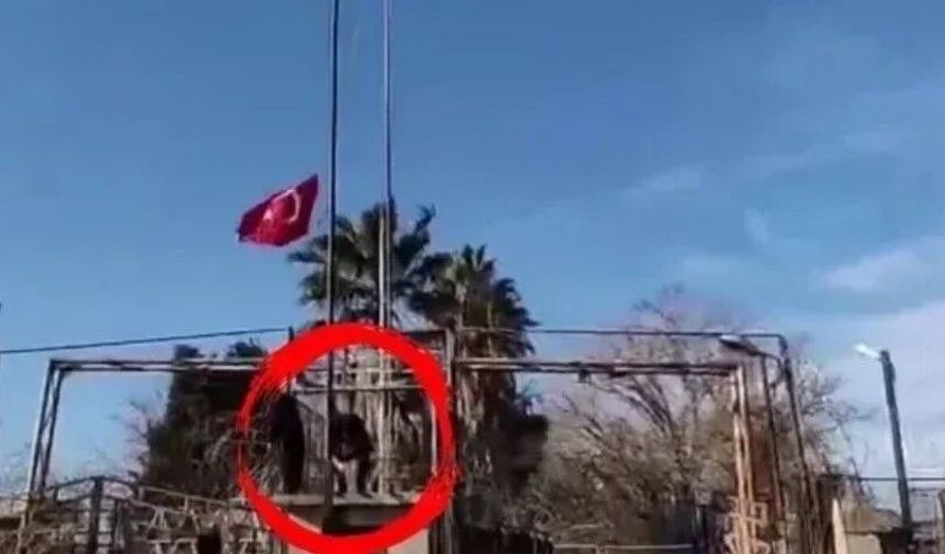 BAYRAK PROVOKASYONUNDA 35 TUTUKLAMA