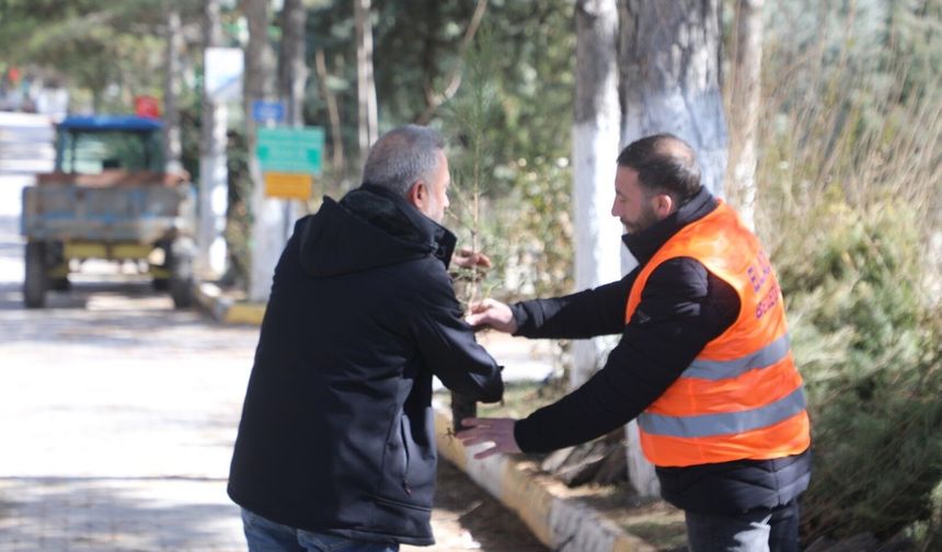 VATANDAŞLARA ÜCRETSİZ FİDAN DESTEĞİ