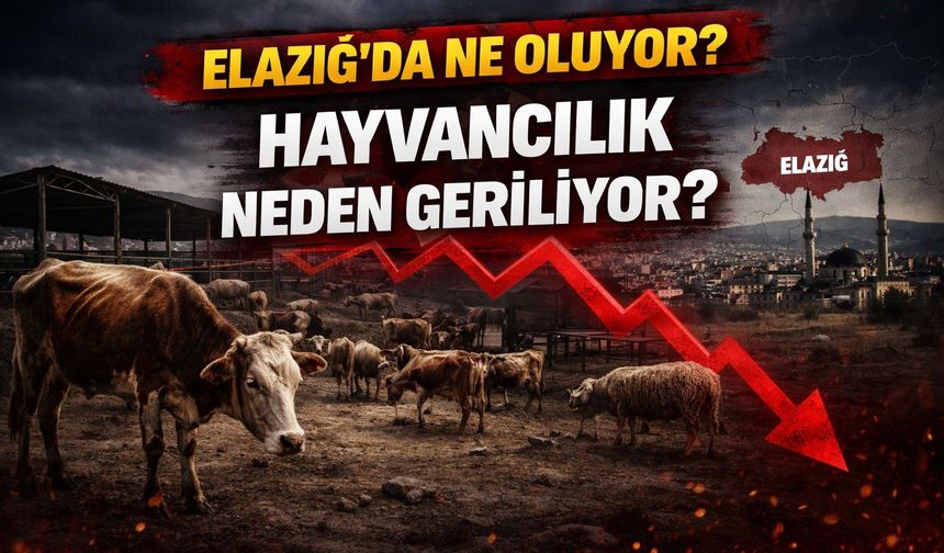 DEV PROJE DENİLDİ ORTADA YOK