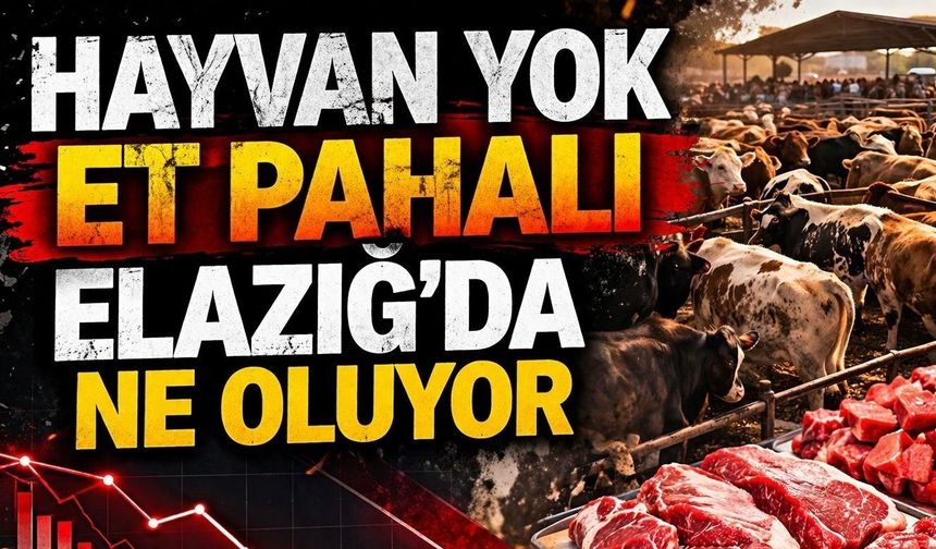 ÜRETİM DÜŞÜYOR VATANDAŞ PAHALIYA YİYOR