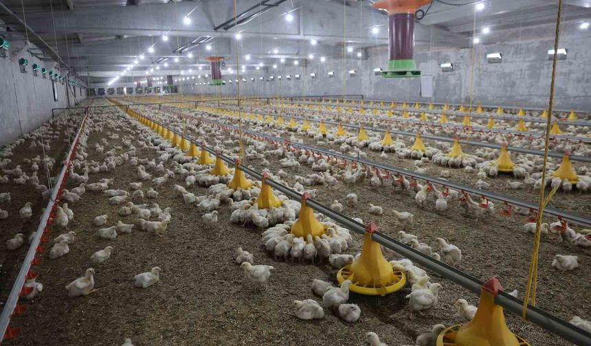 DEVLETTEN ALDIĞI DESTEKLE İKİNCİ ÇİFTLİĞİNİ AÇTI