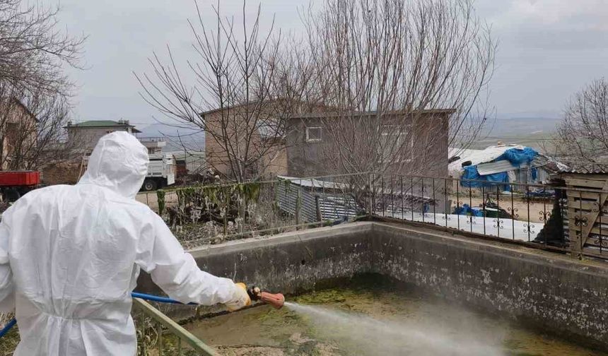 İL ÖZEL İDARESİ LARVA İLAÇLAMA  ÇALIŞMASI YAPIYOR