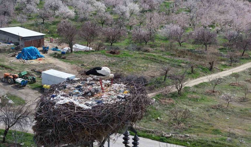 SADIK MİSAFİR LEYLEK 10 YILDIR YOLUNU ŞAŞIRMIYOR