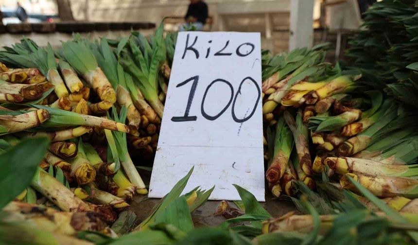 DOĞAL ANTİBİYOTİK TEZGAHLARDA