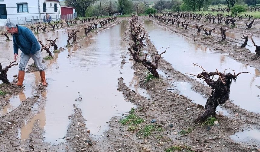 DOLU YAĞIŞI SONRASI HASAR TESPİT ÇALIŞMASI