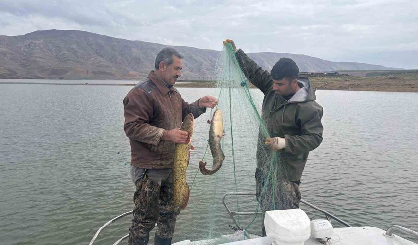 ELAZIĞ'DA SU ÜRÜNLERİ ARAŞTIRMA ÇALIŞMALARI SÜRÜYOR