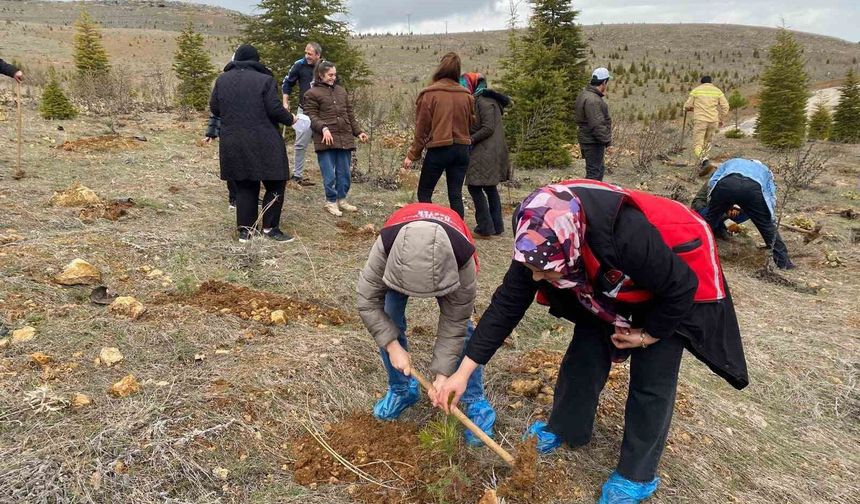 FİDAN DİKİM ETKİNLİĞİ DÜZENLENDİ