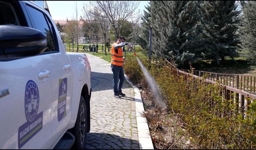 HAŞEREYLE MÜCADELE SÜRÜYOR