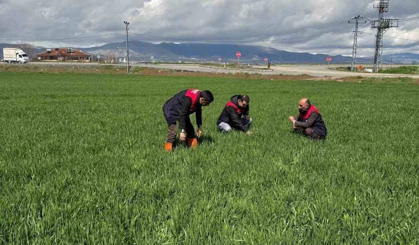 HUBUBAT ÜRETİCİLERİNE HASTALIK UYARISI