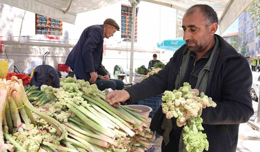 IŞKIN TEZGAHLARDAKİ YERİNİ ALDI