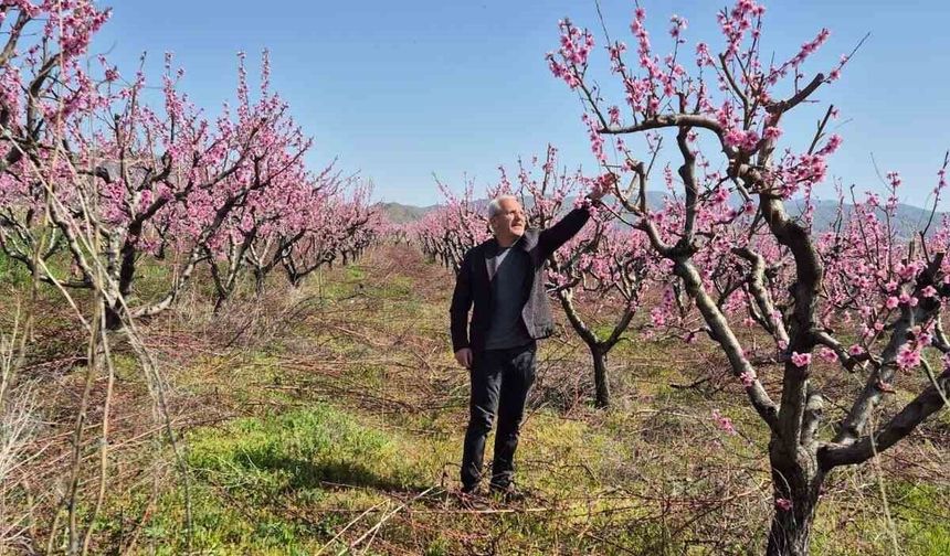 MEYVE BAHÇELERİNDE ENTEGRE MÜCADELE ÇALIŞMASI
