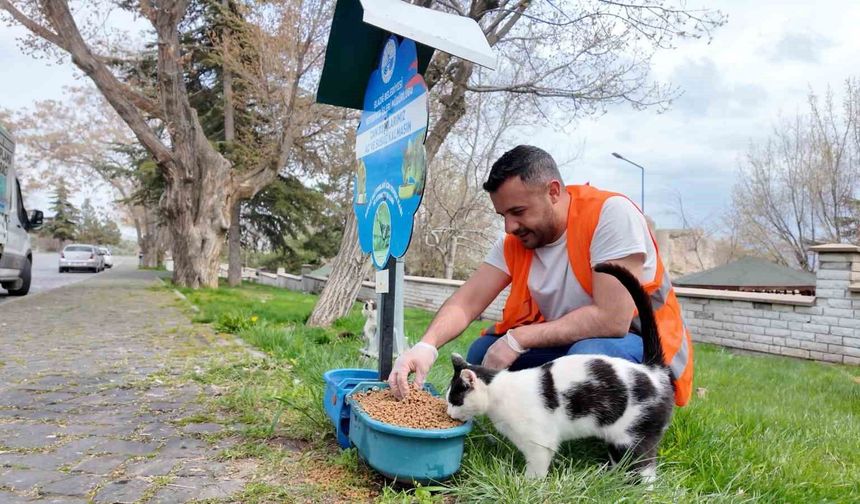 SOKAK HAYVANLARINA MAMA DESTEĞİ SÜRÜYOR