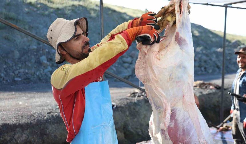 BAYRAM NAMAZINI KILAN VATANDAŞLAR KURBANLARINI KESTİ