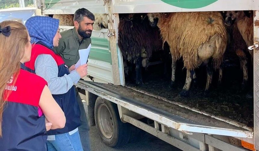 KURBAN BAYRAMI ÖNCESİNDE DENETİMLER DEVAM EDİYOR