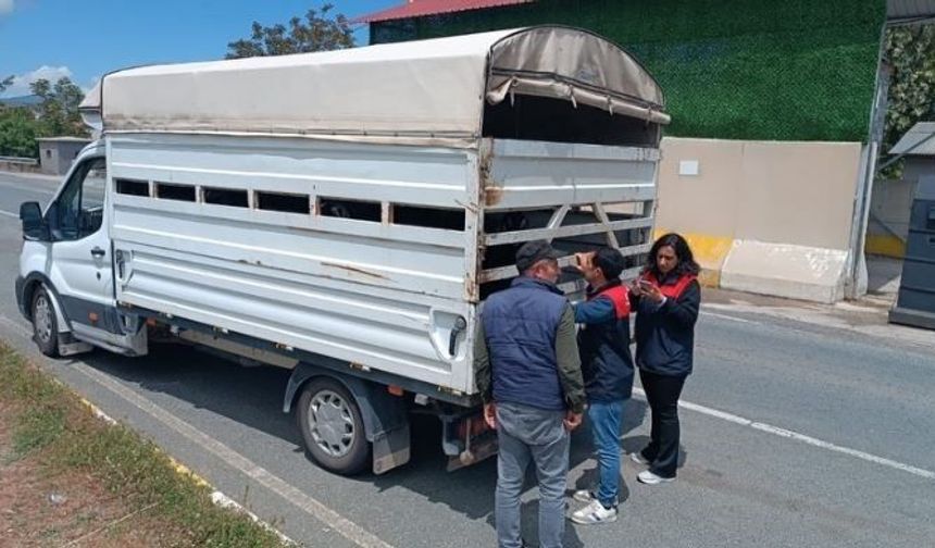 KURBAN BAYRAMI ÖNCESİNDE SIKI DENETİM