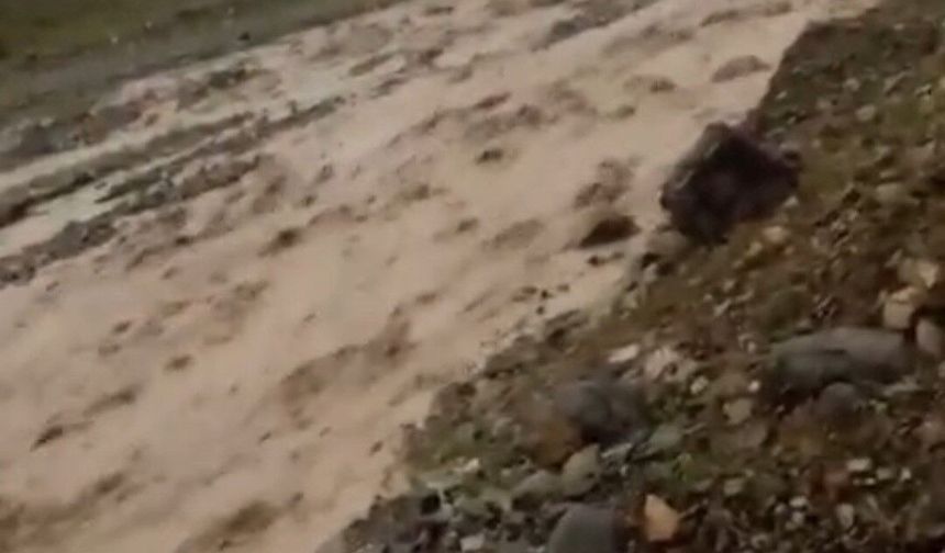 SAĞANAK SONRASI SEL
