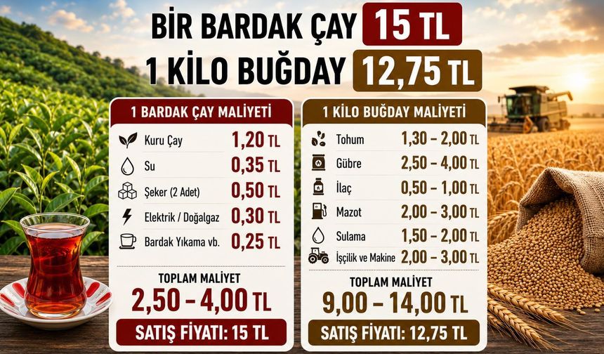 BUĞDAYIN DEĞERİ BİR BARDAK ÇAYA DÜŞTÜ