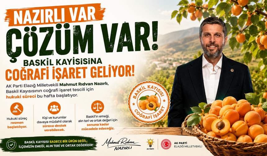 BASKİL KAYISISI İÇİN TARİHİ HAMLE