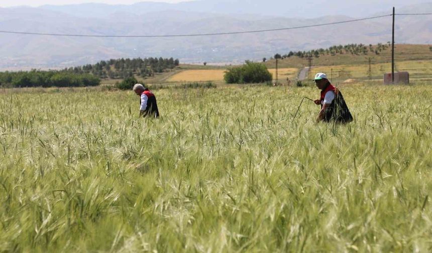 ÇALIŞMALAR SAHADA DEĞERLENDİRİLDİ