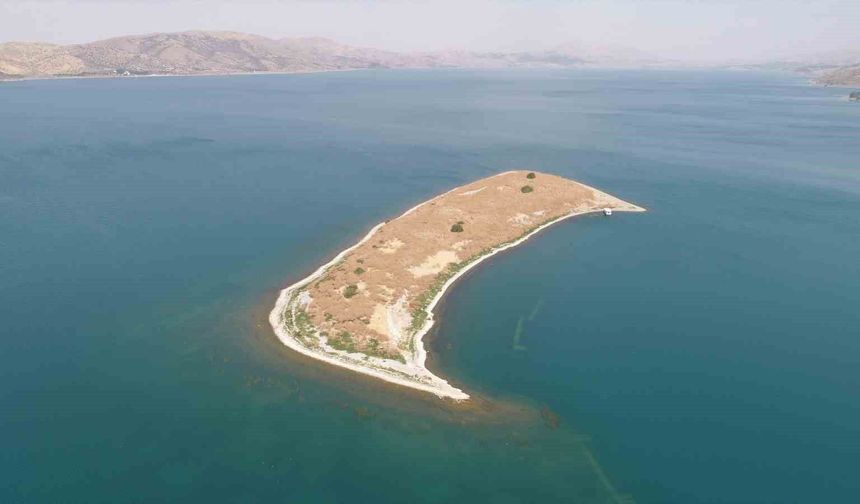 MASSAD, TAVŞAN ADASI İÇİN PROJELERİNİ SIRALADI