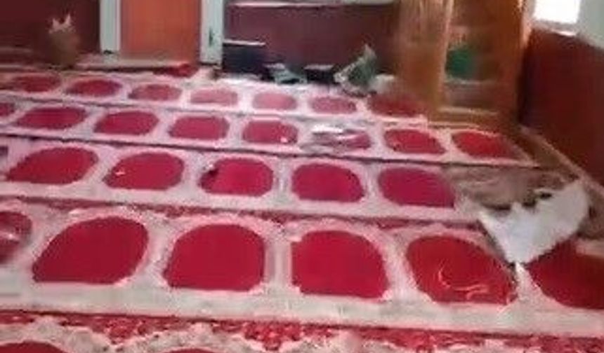 TAHRİP EDİLEN CAMİ BELEDİYE EKİPLERİNCE TEMİZLENDİ