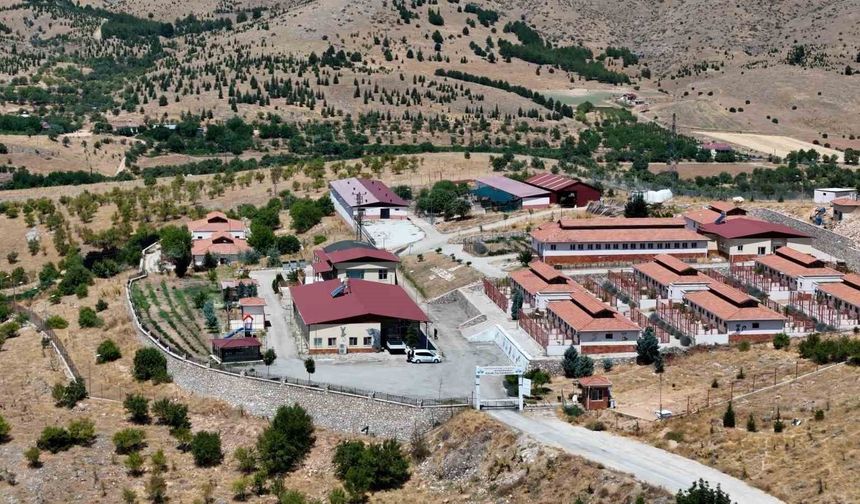 15 BİN SOKAK HAYVANI TEDAVİ EDİLDİ