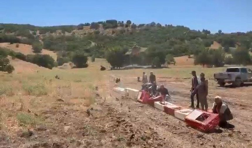 KENELERLE MÜCADELE İÇİN DOĞAYA KEKLİK BIRAKILDI
